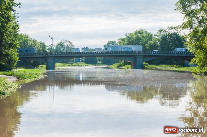 Zdjęcie w galerii na portalu naszraciborz.pl: Odra podtopiła plażę w parku Zamkowym  wiadomości z regionu