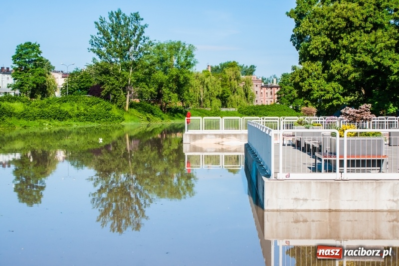 Zdjęcie w galerii na portalu naszraciborz.pl: Odra podtopiła plażę w parku Zamkowym  wiadomości z regionu