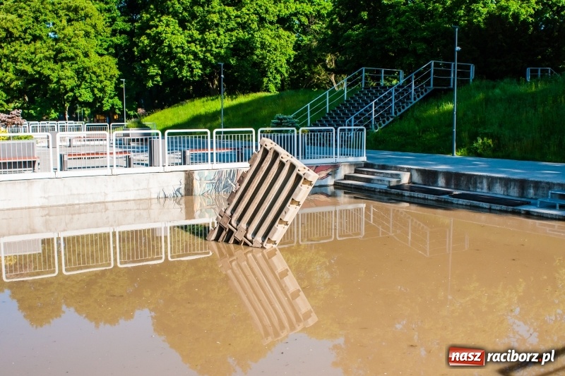 Zdjęcie w galerii na portalu naszraciborz.pl: Odra podtopiła plażę w parku Zamkowym  wiadomości z regionu