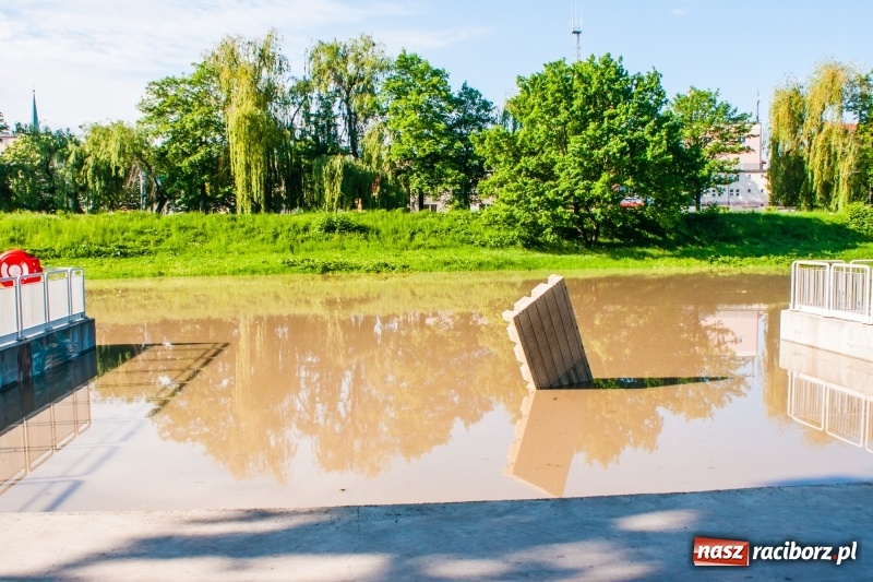 Zdjęcie w galerii na portalu naszraciborz.pl: Odra podtopiła plażę w parku Zamkowym  wiadomości z regionu