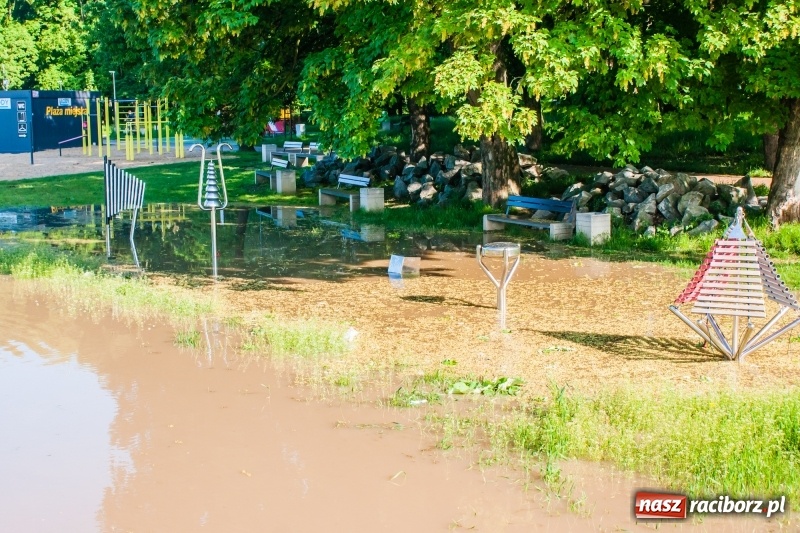 Zdjęcie w galerii na portalu naszraciborz.pl: Odra podtopiła plażę w parku Zamkowym  wiadomości z regionu