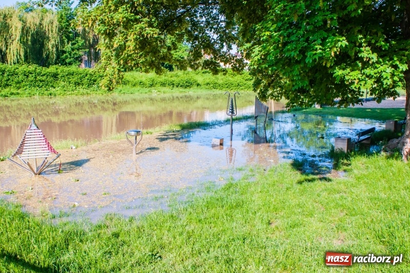 Zdjęcie w galerii na portalu naszraciborz.pl: Odra podtopiła plażę w parku Zamkowym  wiadomości z regionu