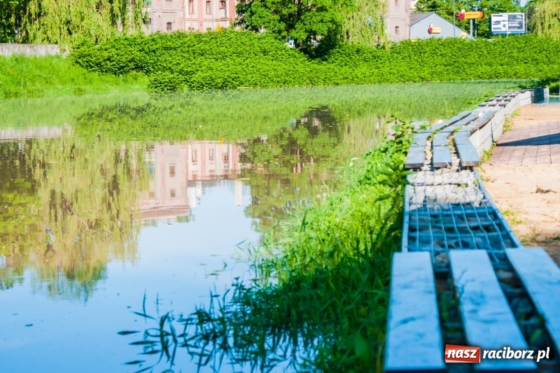 Zdjęcie w galerii na portalu naszraciborz.pl: Odra podtopiła plażę w parku Zamkowym  wiadomości z regionu