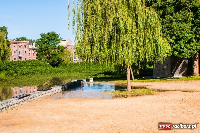 Zdjęcie w galerii na portalu naszraciborz.pl: Odra podtopiła plażę w parku Zamkowym  wiadomości z regionu