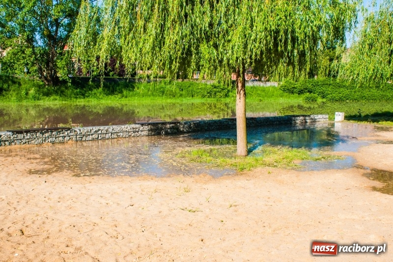 Zdjęcie w galerii na portalu naszraciborz.pl: Odra podtopiła plażę w parku Zamkowym  wiadomości z regionu