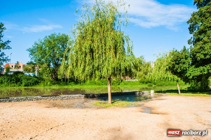 Zdjęcie w galerii na portalu naszraciborz.pl: Odra podtopiła plażę w parku Zamkowym  wiadomości z regionu