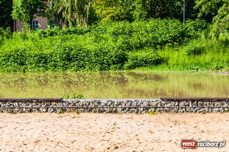 Zdjęcie w galerii na portalu naszraciborz.pl: Odra podtopiła plażę w parku Zamkowym  wiadomości z regionu