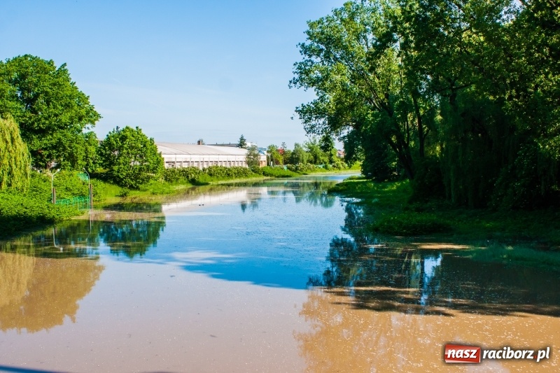 Zdjęcie w galerii na portalu naszraciborz.pl: Odra podtopiła plażę w parku Zamkowym  wiadomości z regionu