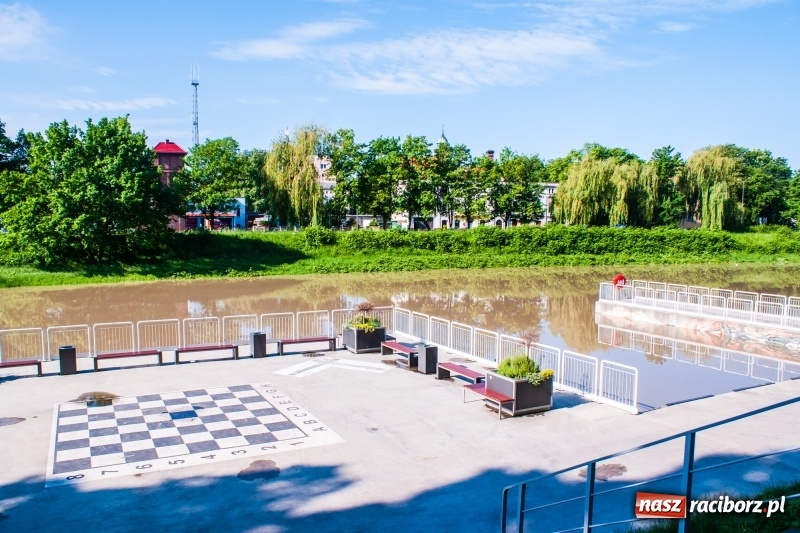 Zdjęcie w galerii na portalu naszraciborz.pl: Odra podtopiła plażę w parku Zamkowym  wiadomości z regionu