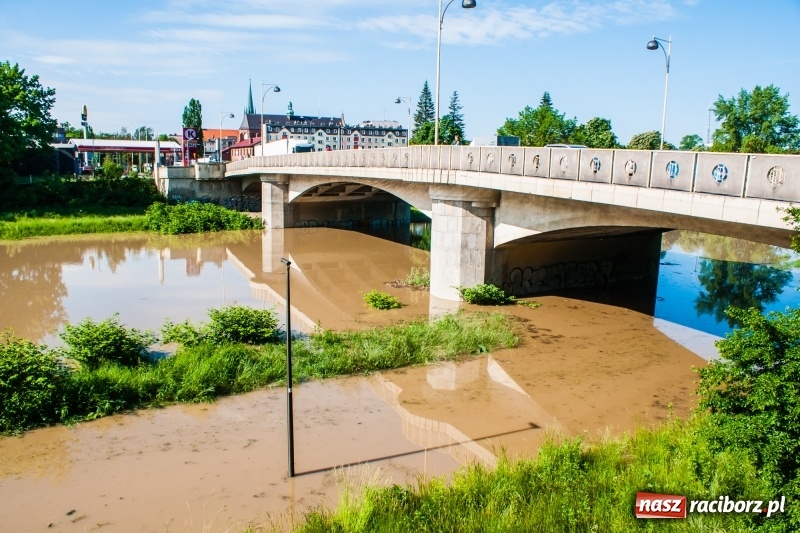 Zdjęcie w galerii na portalu naszraciborz.pl: Odra podtopiła plażę w parku Zamkowym  wiadomości z regionu
