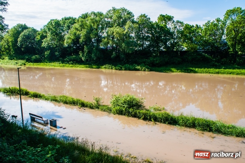 Zdjęcie w galerii na portalu naszraciborz.pl: Odra podtopiła plażę w parku Zamkowym  wiadomości z regionu