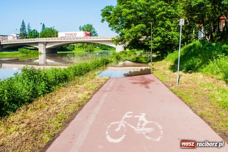 Zdjęcie w galerii na portalu naszraciborz.pl: Odra podtopiła plażę w parku Zamkowym  wiadomości z regionu