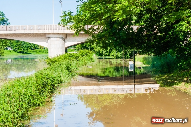 Zdjęcie w galerii na portalu naszraciborz.pl: Odra podtopiła plażę w parku Zamkowym  wiadomości z regionu