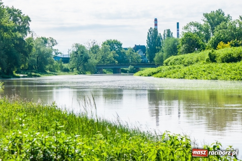 Zdjęcie w galerii na portalu naszraciborz.pl: Odra podtopiła plażę w parku Zamkowym  wiadomości z regionu