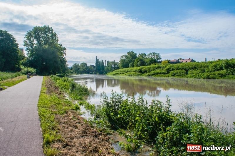 Zdjęcie w galerii na portalu naszraciborz.pl: Odra podtopiła plażę w parku Zamkowym  wiadomości z regionu
