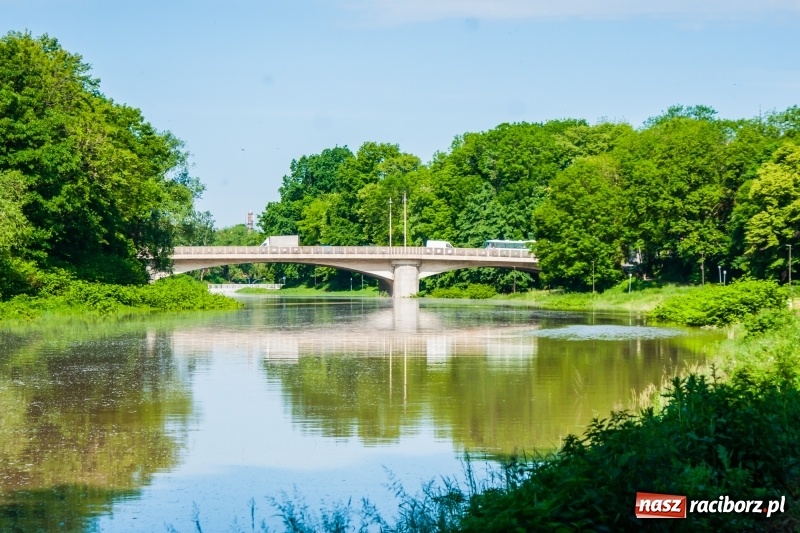 Zdjęcie w galerii na portalu naszraciborz.pl: Odra podtopiła plażę w parku Zamkowym  wiadomości z regionu