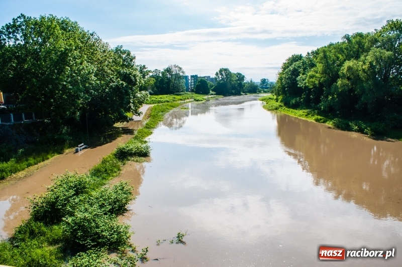 Zdjęcie w galerii na portalu naszraciborz.pl: Odra podtopiła plażę w parku Zamkowym  wiadomości z regionu