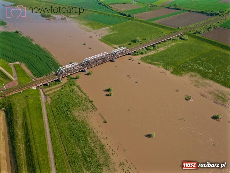 Zdjęcie w galerii na portalu naszraciborz.pl: Wezbranie na Uldze w Raciborzu [FOTO]  wiadomości z regionu