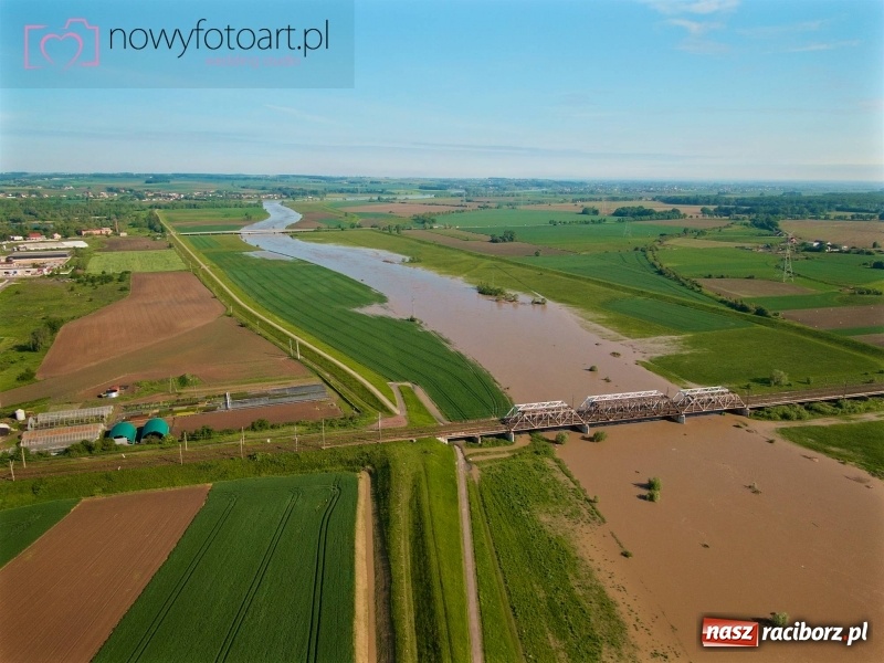 Zdjęcie w galerii na portalu naszraciborz.pl: Wezbranie na Uldze w Raciborzu [FOTO]  wiadomości z regionu