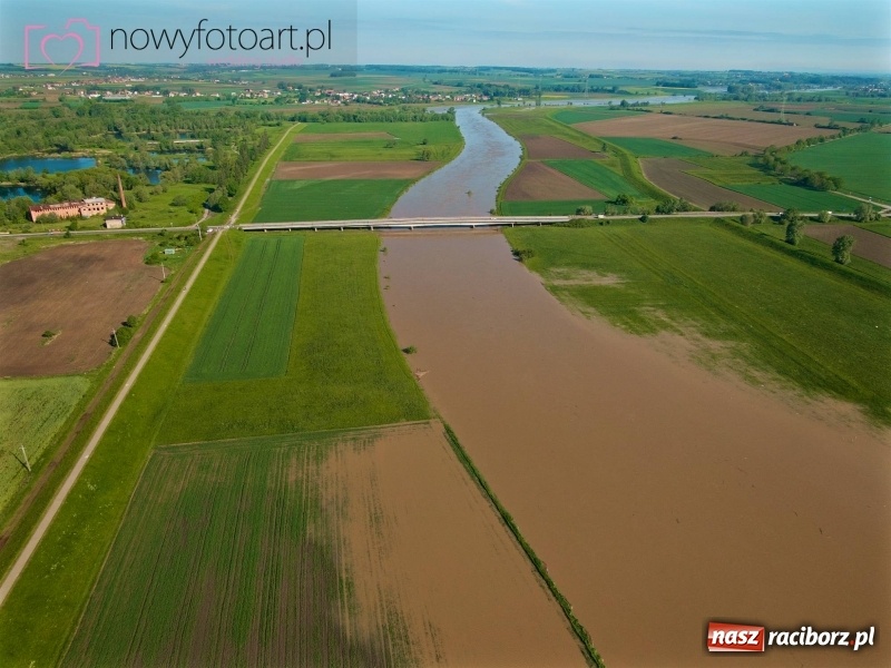 Zdjęcie w galerii na portalu naszraciborz.pl: Wezbranie na Uldze w Raciborzu [FOTO]  wiadomości z regionu