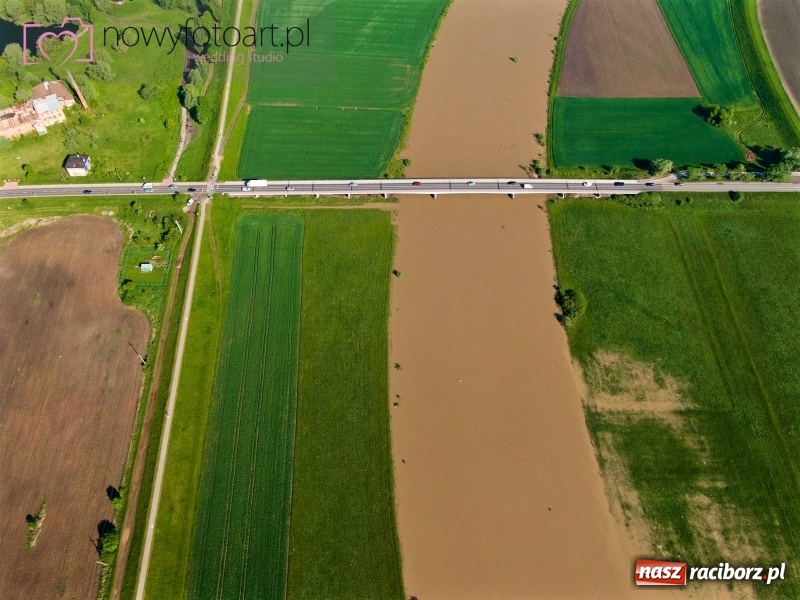 Zdjęcie w galerii na portalu naszraciborz.pl: Wezbranie na Uldze w Raciborzu [FOTO]  wiadomości z regionu