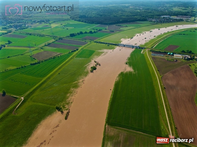 Zdjęcie w galerii na portalu naszraciborz.pl: Wezbranie na Uldze w Raciborzu [FOTO]  wiadomości z regionu