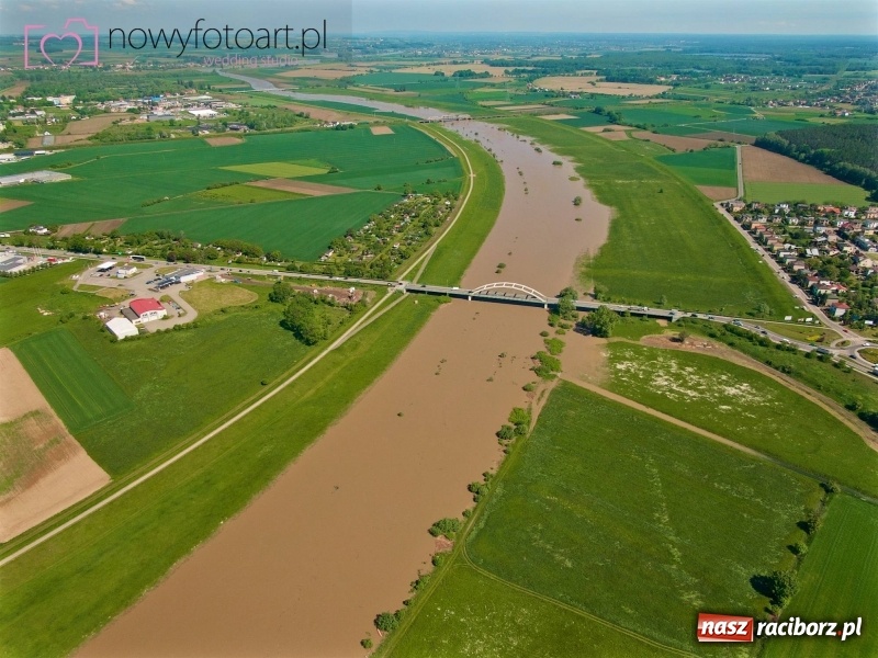 Zdjęcie w galerii na portalu naszraciborz.pl: Wezbranie na Uldze w Raciborzu [FOTO]  wiadomości z regionu