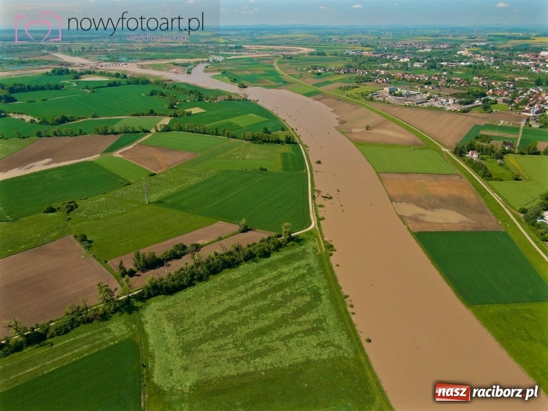 Zdjęcie w galerii na portalu naszraciborz.pl: Wezbranie na Uldze w Raciborzu [FOTO]  wiadomości z regionu
