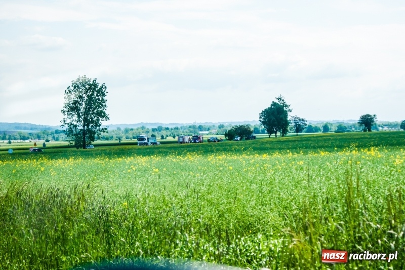 Zdjęcie w galerii na portalu naszraciborz.pl: Pechowe koszenie na DK 45. Traktor stoczył się do rowu  wiadomości z regionu