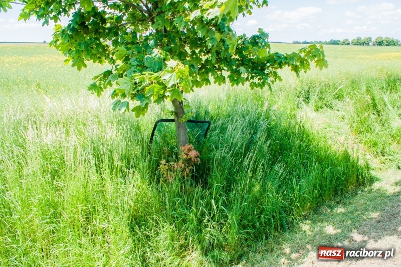 Zdjęcie w galerii na portalu naszraciborz.pl: Pechowe koszenie na DK 45. Traktor stoczył się do rowu  wiadomości z regionu
