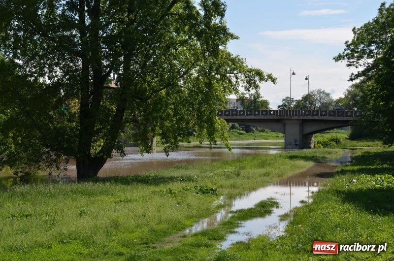 Zdjęcie w galerii na portalu naszraciborz.pl: Wezbranie 2019 - najwyższy stan na Odrze miejskiej. Wizyta komendanta głównego straży pożarnej wiadomości z regionu