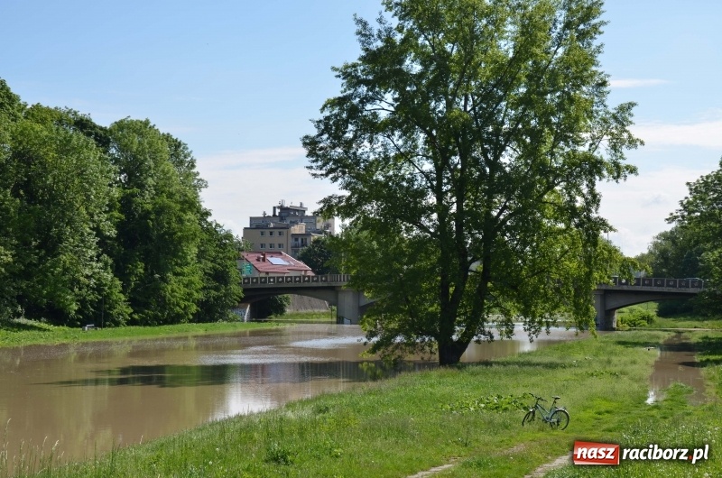 Zdjęcie w galerii na portalu naszraciborz.pl: Wezbranie 2019 - najwyższy stan na Odrze miejskiej. Wizyta komendanta głównego straży pożarnej wiadomości z regionu