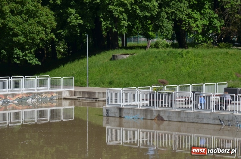 Zdjęcie w galerii na portalu naszraciborz.pl: Wezbranie 2019 - najwyższy stan na Odrze miejskiej. Wizyta komendanta głównego straży pożarnej wiadomości z regionu