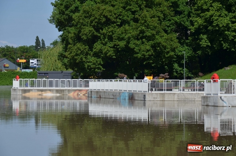 Zdjęcie w galerii na portalu naszraciborz.pl: Wezbranie 2019 - najwyższy stan na Odrze miejskiej. Wizyta komendanta głównego straży pożarnej wiadomości z regionu