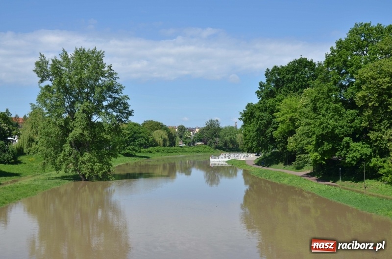Zdjęcie w galerii na portalu naszraciborz.pl: Wezbranie 2019 - najwyższy stan na Odrze miejskiej. Wizyta komendanta głównego straży pożarnej wiadomości z regionu