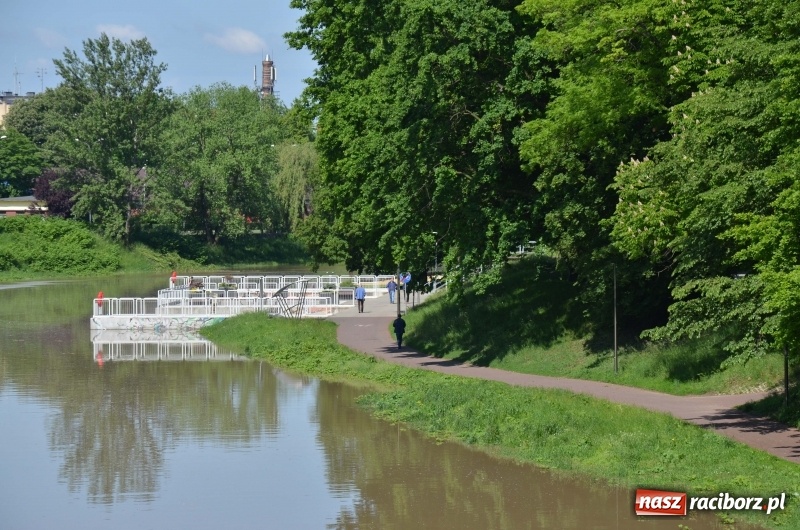 Zdjęcie w galerii na portalu naszraciborz.pl: Wezbranie 2019 - najwyższy stan na Odrze miejskiej. Wizyta komendanta głównego straży pożarnej wiadomości z regionu
