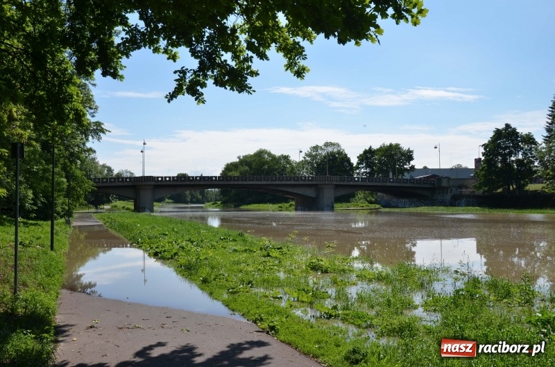 Zdjęcie w galerii na portalu naszraciborz.pl: Wezbranie 2019 - najwyższy stan na Odrze miejskiej. Wizyta komendanta głównego straży pożarnej wiadomości z regionu