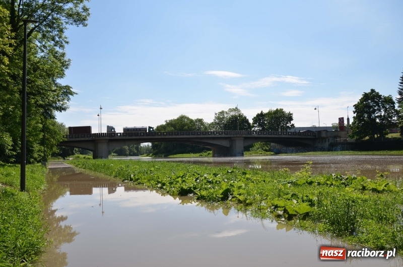 Zdjęcie w galerii na portalu naszraciborz.pl: Wezbranie 2019 - najwyższy stan na Odrze miejskiej. Wizyta komendanta głównego straży pożarnej wiadomości z regionu