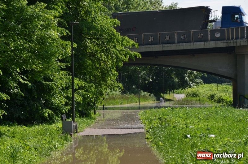 Zdjęcie w galerii na portalu naszraciborz.pl: Wezbranie 2019 - najwyższy stan na Odrze miejskiej. Wizyta komendanta głównego straży pożarnej wiadomości z regionu