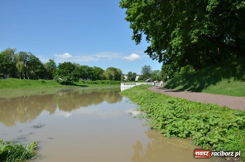 Zdjęcie w galerii na portalu naszraciborz.pl: Wezbranie 2019 - najwyższy stan na Odrze miejskiej. Wizyta komendanta głównego straży pożarnej wiadomości z regionu