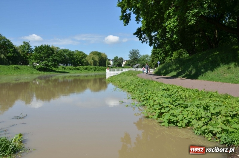 Zdjęcie w galerii na portalu naszraciborz.pl: Wezbranie 2019 - najwyższy stan na Odrze miejskiej. Wizyta komendanta głównego straży pożarnej wiadomości z regionu