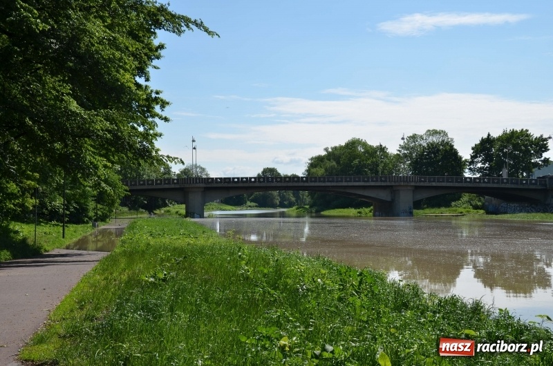 Zdjęcie w galerii na portalu naszraciborz.pl: Wezbranie 2019 - najwyższy stan na Odrze miejskiej. Wizyta komendanta głównego straży pożarnej wiadomości z regionu