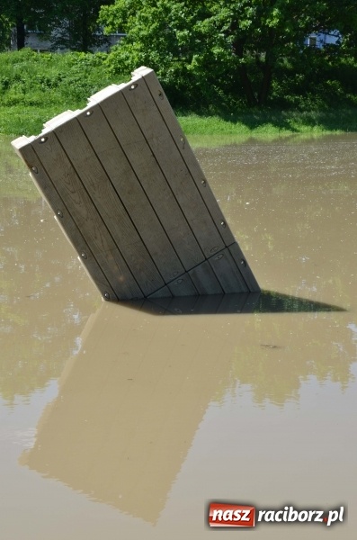 Zdjęcie w galerii na portalu naszraciborz.pl: Wezbranie 2019 - najwyższy stan na Odrze miejskiej. Wizyta komendanta głównego straży pożarnej wiadomości z regionu