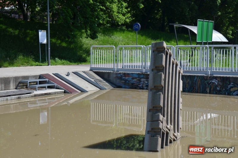 Zdjęcie w galerii na portalu naszraciborz.pl: Wezbranie 2019 - najwyższy stan na Odrze miejskiej. Wizyta komendanta głównego straży pożarnej wiadomości z regionu