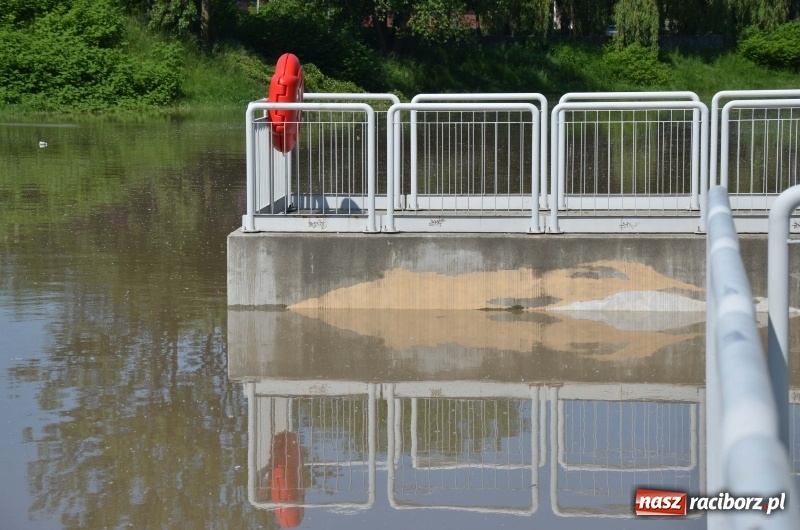 Zdjęcie w galerii na portalu naszraciborz.pl: Wezbranie 2019 - najwyższy stan na Odrze miejskiej. Wizyta komendanta głównego straży pożarnej wiadomości z regionu