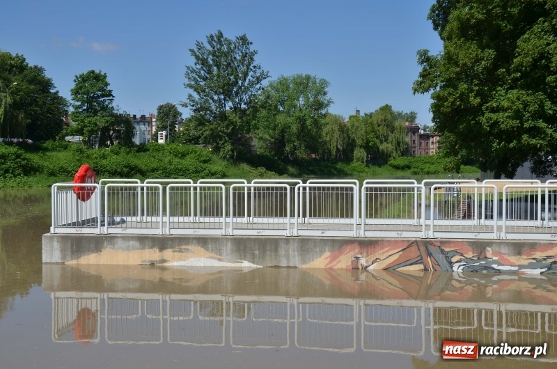 Zdjęcie w galerii na portalu naszraciborz.pl: Wezbranie 2019 - najwyższy stan na Odrze miejskiej. Wizyta komendanta głównego straży pożarnej wiadomości z regionu