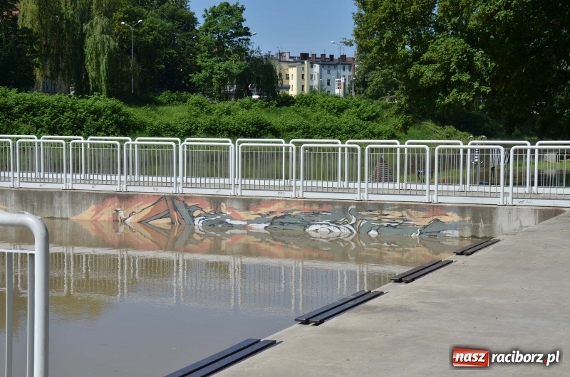 Zdjęcie w galerii na portalu naszraciborz.pl: Wezbranie 2019 - najwyższy stan na Odrze miejskiej. Wizyta komendanta głównego straży pożarnej wiadomości z regionu