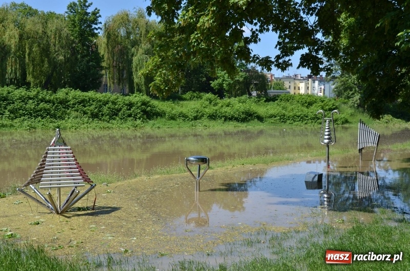 Zdjęcie w galerii na portalu naszraciborz.pl: Wezbranie 2019 - najwyższy stan na Odrze miejskiej. Wizyta komendanta głównego straży pożarnej wiadomości z regionu