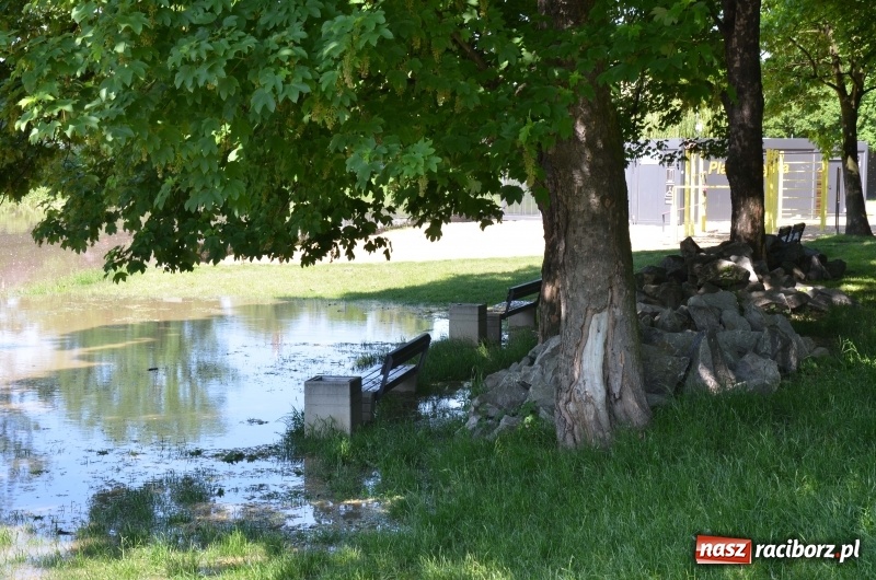 Zdjęcie w galerii na portalu naszraciborz.pl: Wezbranie 2019 - najwyższy stan na Odrze miejskiej. Wizyta komendanta głównego straży pożarnej wiadomości z regionu