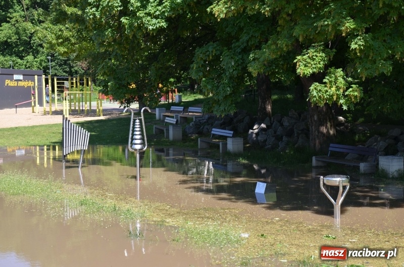 Zdjęcie w galerii na portalu naszraciborz.pl: Wezbranie 2019 - najwyższy stan na Odrze miejskiej. Wizyta komendanta głównego straży pożarnej wiadomości z regionu